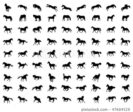 Big set of horses silhouettes Big set of horses silhouettes 47684529
