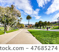 Palm Trees in California 47685274