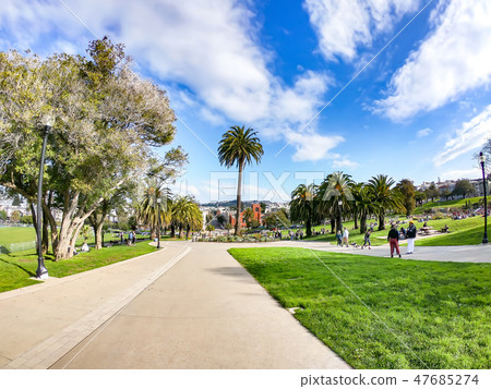 Palm Trees in California 47685274
