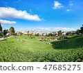 The View from Mission Dolores Park 47685275