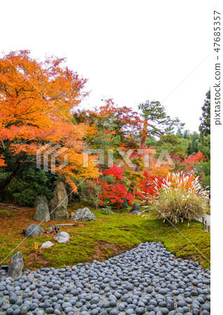 Tenryu-ji塔頭·Baekjeon,獅子花園,Sanshin石上的秋葉·苦海·Beaststone Tenryu-ji塔頭·Baekjeon,獅子花園,Sanshin石上的秋葉·苦海·Beaststone 47685357