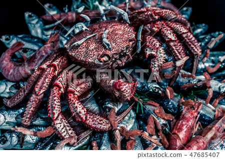 Big hairy boiled crab sits on a heap of fish 47685407
