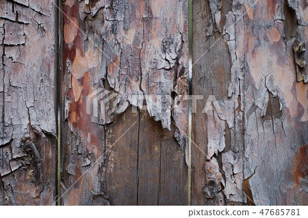Background of wooden boards with a bough Background of wooden boards with a bough 47685781