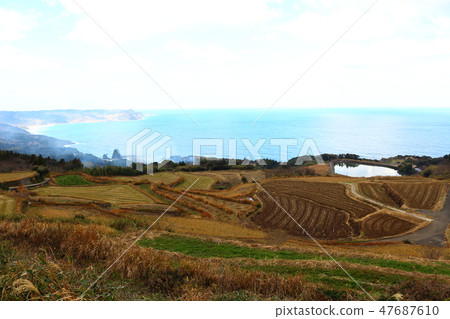 Yamaguchi prefecture Nagato-shi Higashi-deep River Terrace in the east field Yamaguchi prefecture Nagato-shi Higashi-deep River Terrace in the east field 47687610