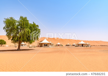 Wahhiba沙漠（阿曼，Wajiva Sands） 47688201