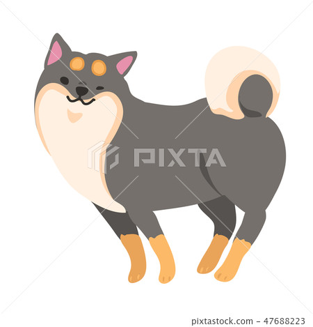 Shiba Inu狗Kuroshiba姿勢面部風景 Shiba Inu狗Kuroshiba姿勢面部風景 47688223