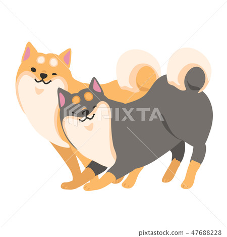 Shiba Inu dog Akaiba Kuroba pose facial sideways 47688228