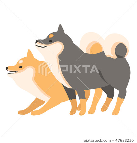 Shiba Inu狗Akaiba Kuroba構成面部側面 47688230