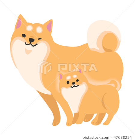 Shiba Inu狗父母擺在面部風景 47688234