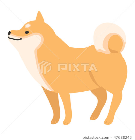 Shiba Inu Dog Akaiba Pose Facial Landscape 47688243