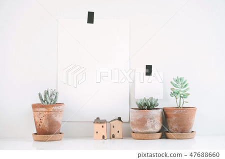 Note papers on the wall with succulent or cactus. 47688660