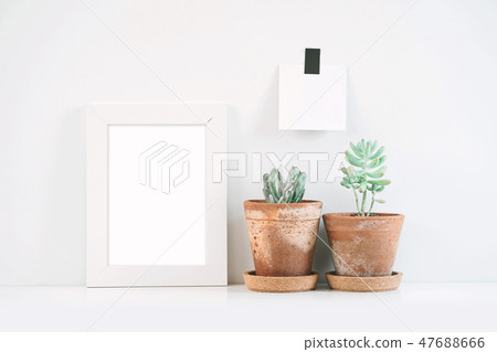 Note papers on the wall with succulent or cactus. Note papers on the wall with succulent or cactus. 47688666