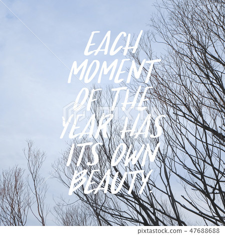 Motivational and inspirational quotes. 47688688