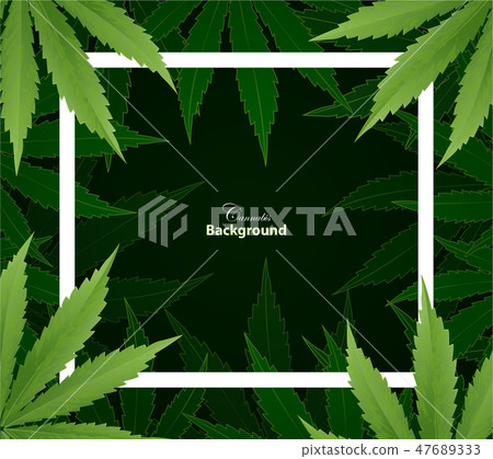 Marijuana plant and cannabis on green background. Marijuana plant and cannabis on green background. 47689333