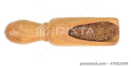 Cumin or caraway seeds in wooden spoon isolated on white background. Top view Cumin or caraway seeds in wooden spoon isolated on white background. Top view 47692099