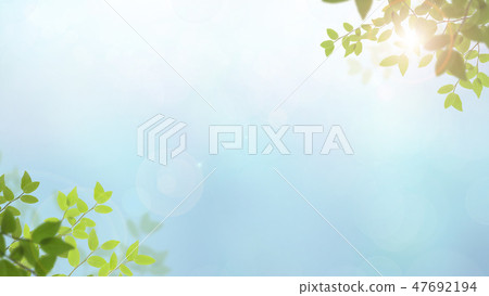 Background - Fresh green - Blue - Sunlight Background - Fresh green - Blue - Sunlight 47692194