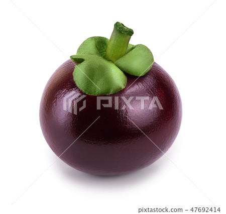 ripe mangosteen isolated on white background closeup ripe mangosteen isolated on white background closeup 47692414
