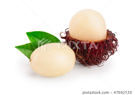 rambutan with leaves isolated on white background. Tropical fruit. Nephelium lappaceum 47692539