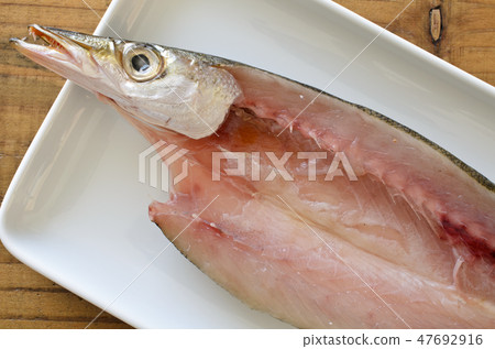 卡馬斯干魚 47692916