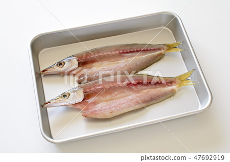 Dried fish of Camas 47692919