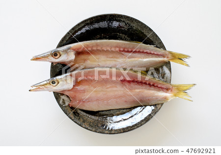 卡馬斯干魚 47692921