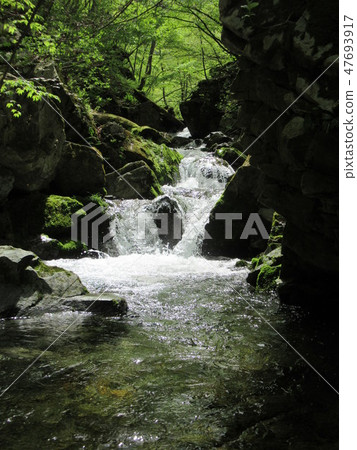 Summer Satoyama Summer Satoyama 47693917