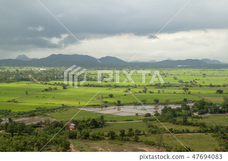 filed landscape in thailand filed landscape in thailand 47694083
