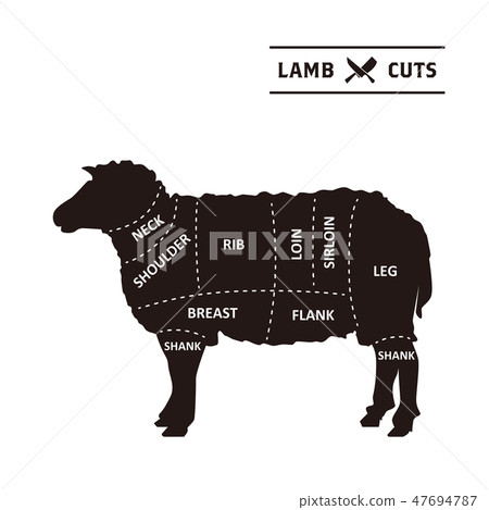 Lamb meat part poster 02 Lamb meat part poster 02 47694787