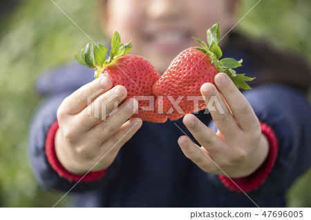 Ichigo狩獵圖像做心臟的孩子做草莓 47696005