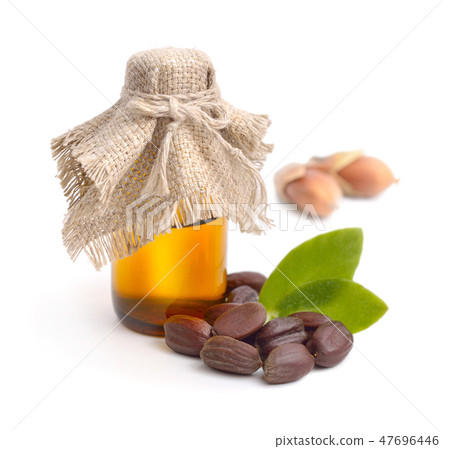 Jojoba (Simmondsia chinensis) leaves, seeds, oil. 47696446