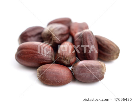Jojoba (Simmondsia chinensis) seeds. 47696450