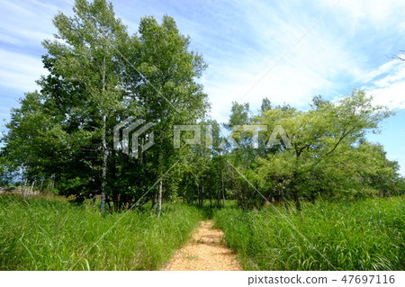 Promenade Fermeur · Tail Biei Promenade Fermeur · Tail Biei 47697116