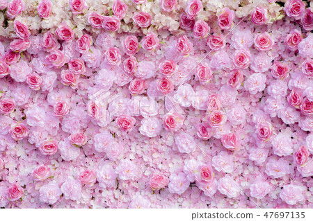 Pink roses background / Pink roses wallpaper Pink roses background / Pink roses wallpaper 47697135