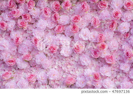 Pink roses background / Pink roses wallpaper Pink roses background / Pink roses wallpaper 47697136