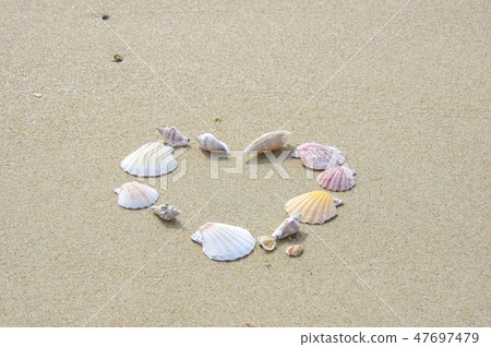 Seashells in the shape of a shell of a sand beach Seashells in the shape of a shell of a sand beach 47697479
