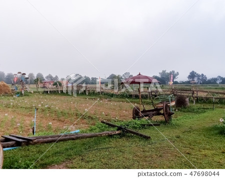 Beautiful scenery in the Thai countryside Beautiful scenery in the Thai countryside 47698044