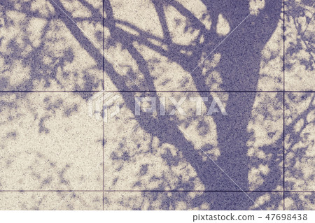 Tree branches shadow silhouette on wall Tree branches shadow silhouette on wall 47698438