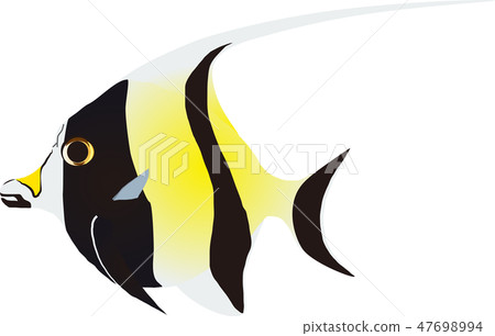 鐮魚 鐮魚 47698994