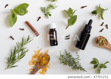 Selection of essential oils and herbs 47701252