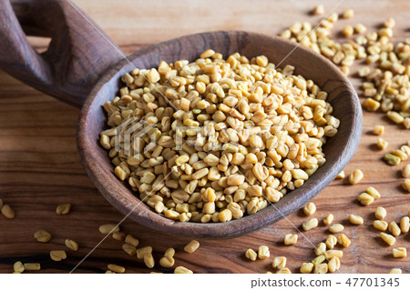 Fenugreek seeds on a wooden spoon 47701345