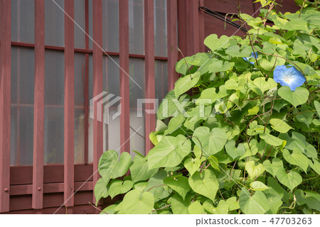Fukiya Furusato Village Fukiya Furusato Village 47703263