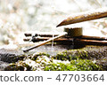 Japanese garden 47703664