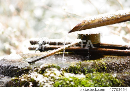 Japanese garden Japanese garden 47703664