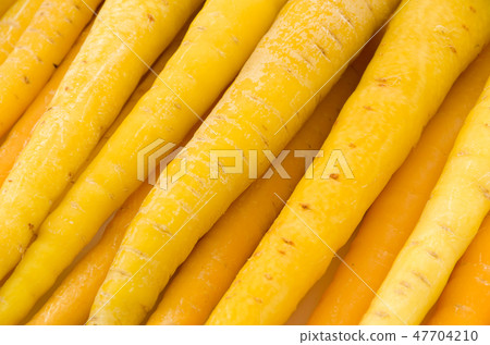 Island carrot up 47704210