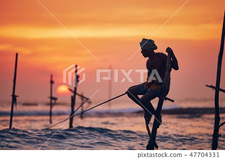 Traditional stilt fishing in Sri Lanka Traditional stilt fishing in Sri Lanka 47704331