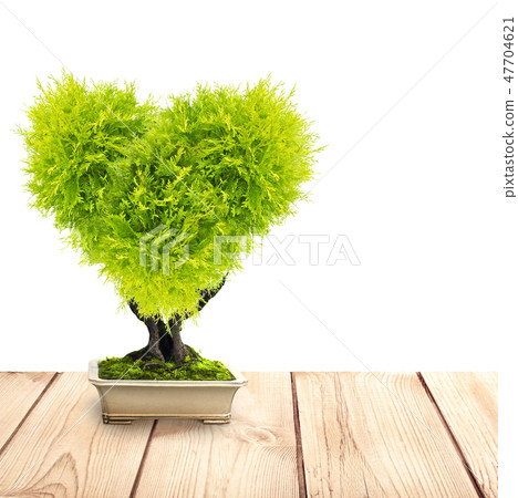Heart shaped tree on old wooden deck Heart shaped tree on old wooden deck 47704621