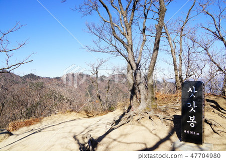 Korea Daegu Hakkoyama Korea Daegu Hakkoyama 47704980