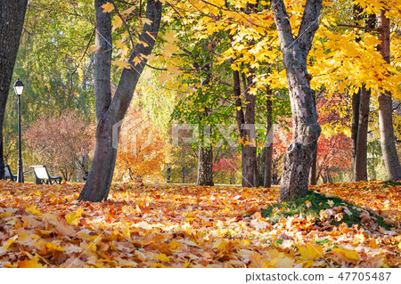 autumn landscape, Tsaritsyno park, Russia, Moscow, 47705487