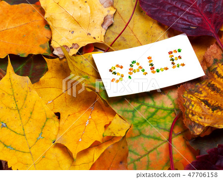 Autumn multicolor leaves and white price card SALE 47706158