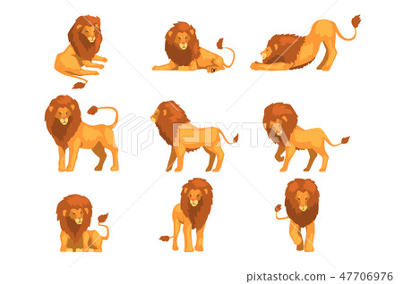 Proud powerful lion character in different actions set of cartoon vector Illustrations on a white Proud powerful lion character in different actions set of cartoon vector Illustrations on a white 47706976